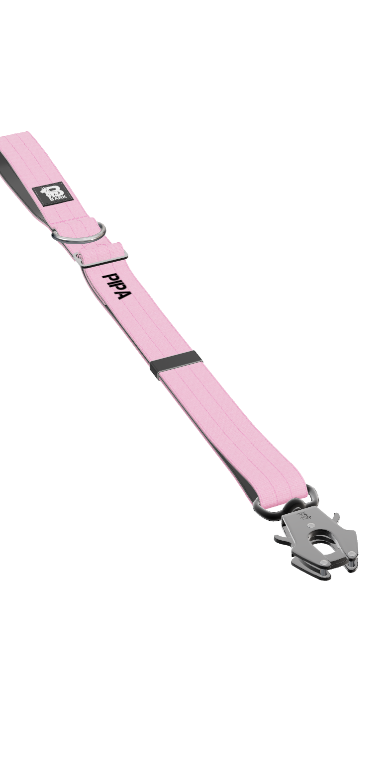 Image for Trela Urbana
