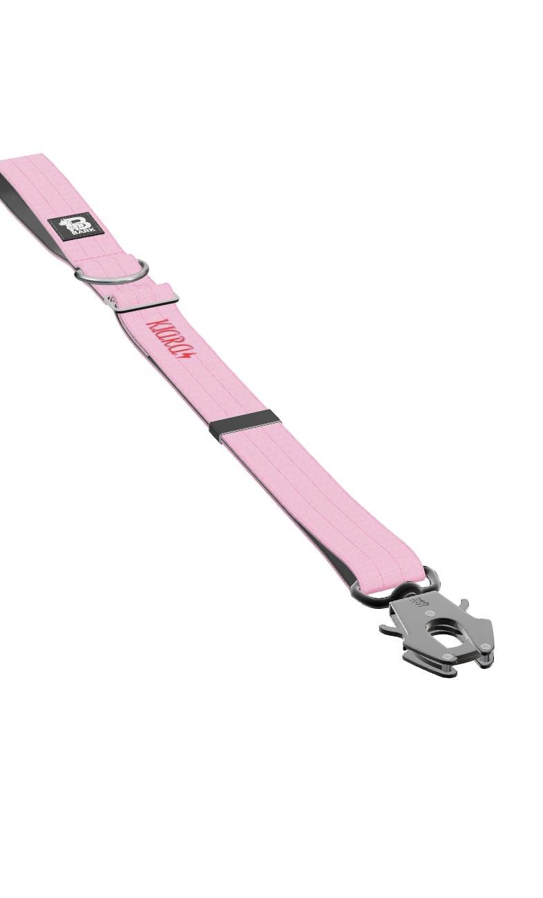 Image for Trela Urbana