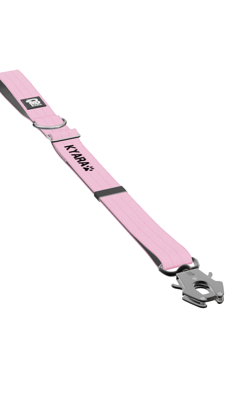 Image for Trela Urbana