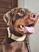 Customer avatar 3