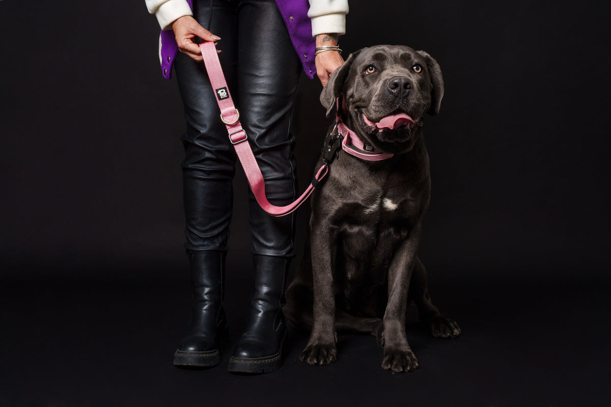 Trela 1m Rosa