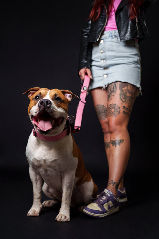 Trela 1m Rosa