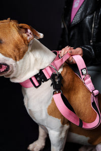 Trela 1m Rosa