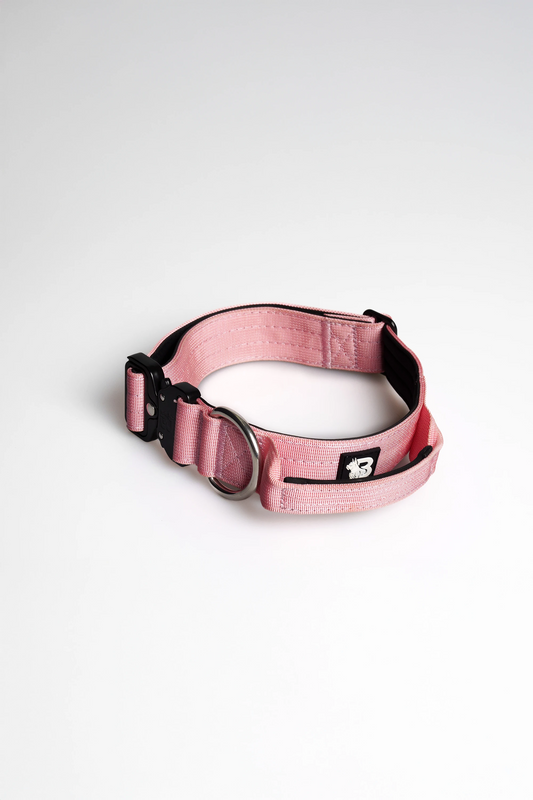 Coleira Rosa