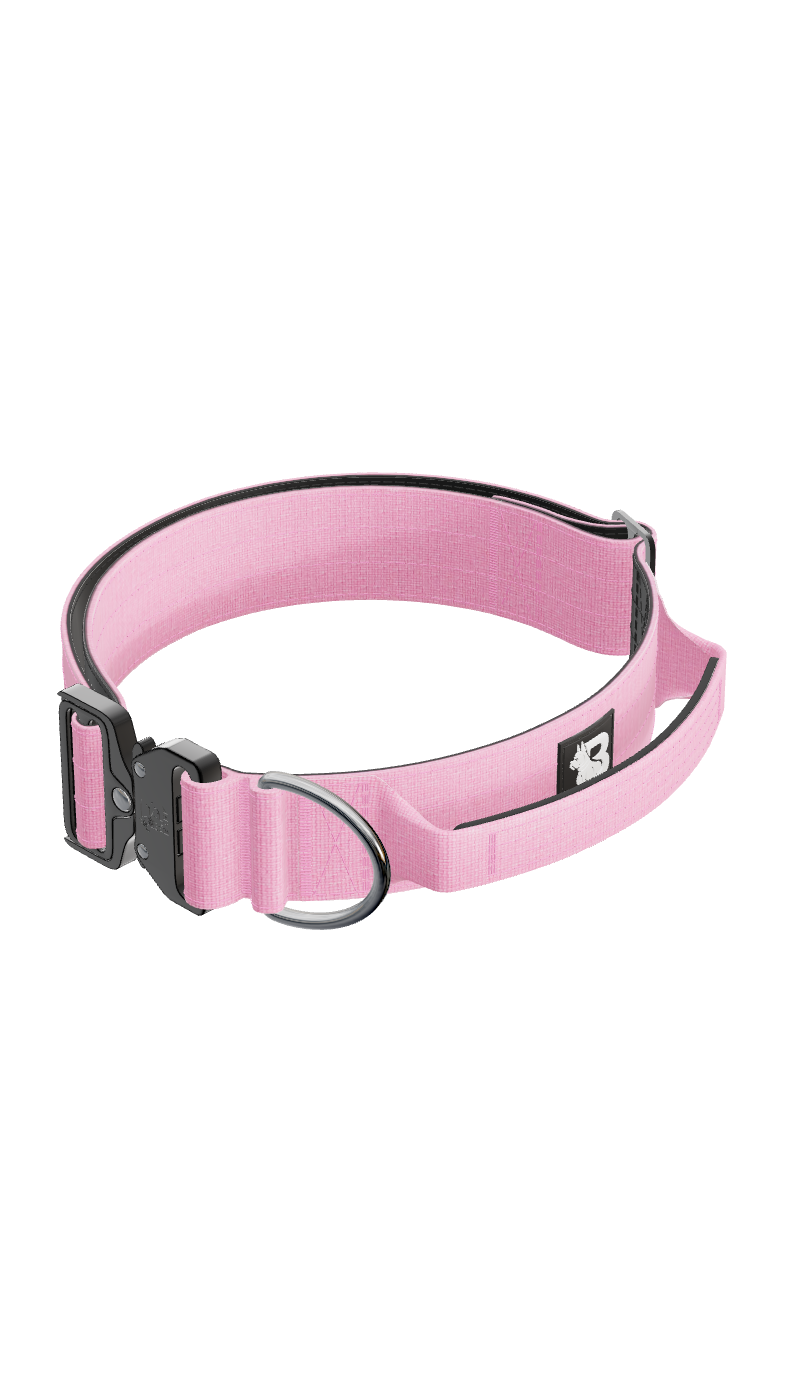 Image for Coleira Tática