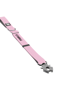 Image for Trela Urbana